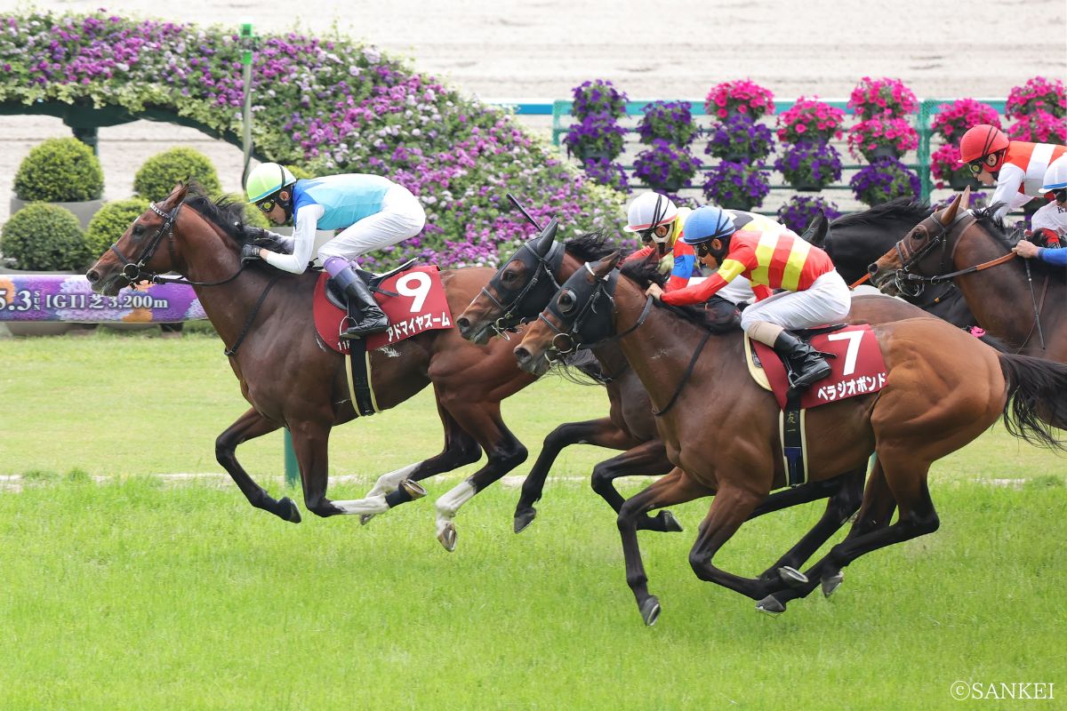 2026年マイラーズCを制した時のアドマイヤズーム