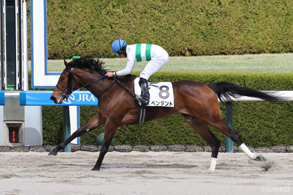 2026年3月8日（阪神）3歳1勝クラス/1着ペンダント