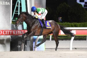 【本日の競馬】大井で羽田盃開幕！ダート三冠の主役に名乗りを上げるのはどの馬だ？
