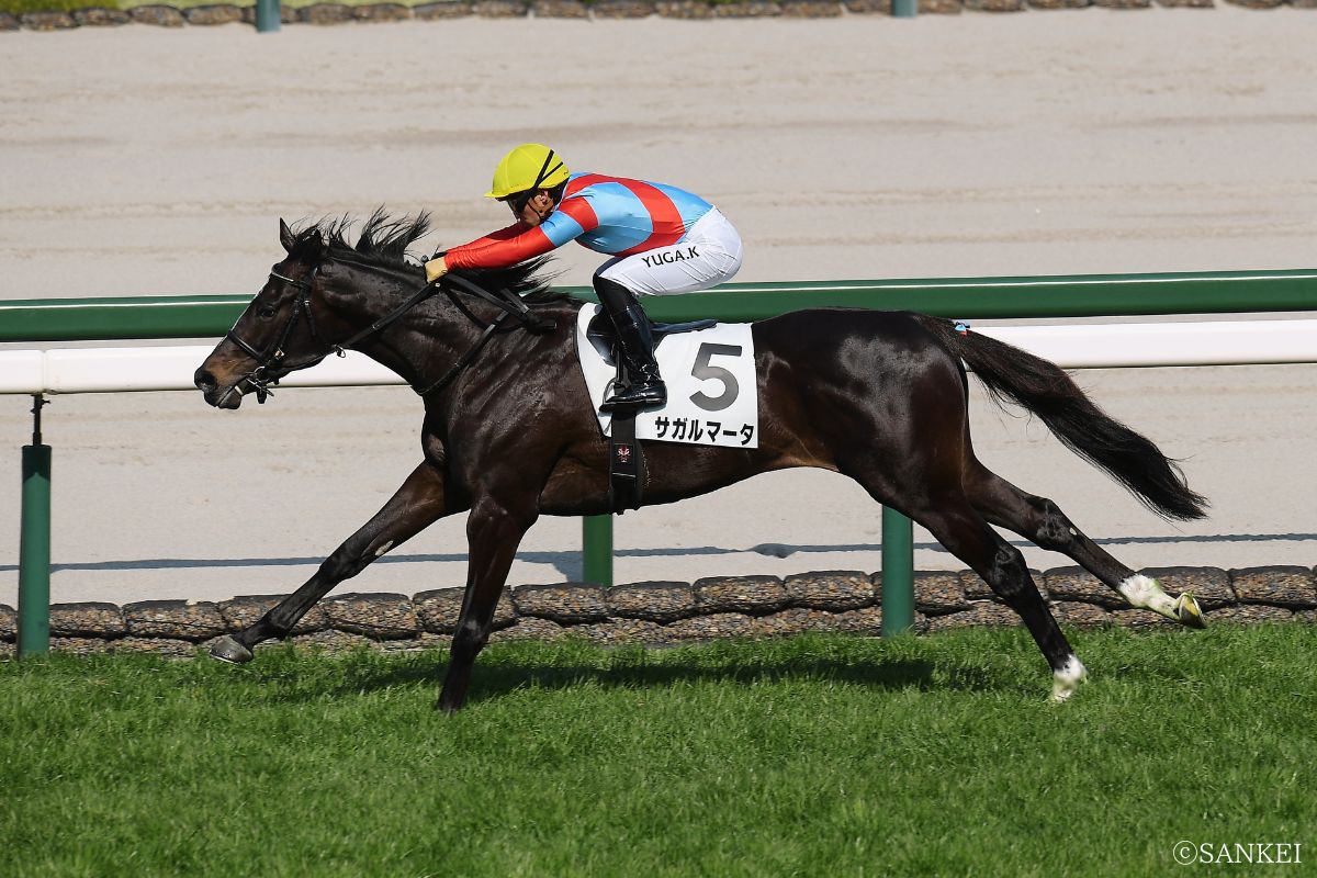 2026年2月21日（阪神）3歳未勝利/1着サガルマータ