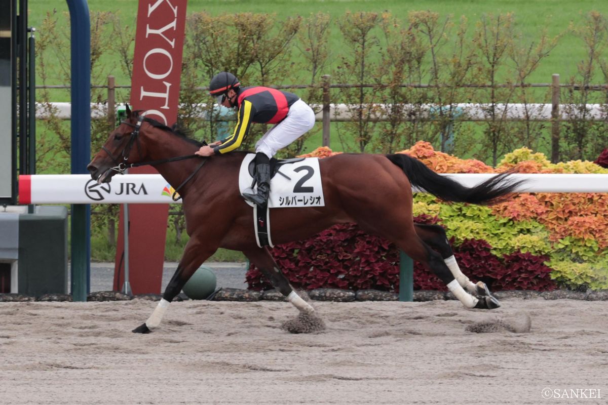 2025/10/18（京都）2歳未勝利/1着シルバーレシオ