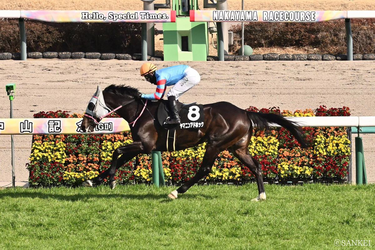 2026年富里特別を制した時のヤマニンアドホック