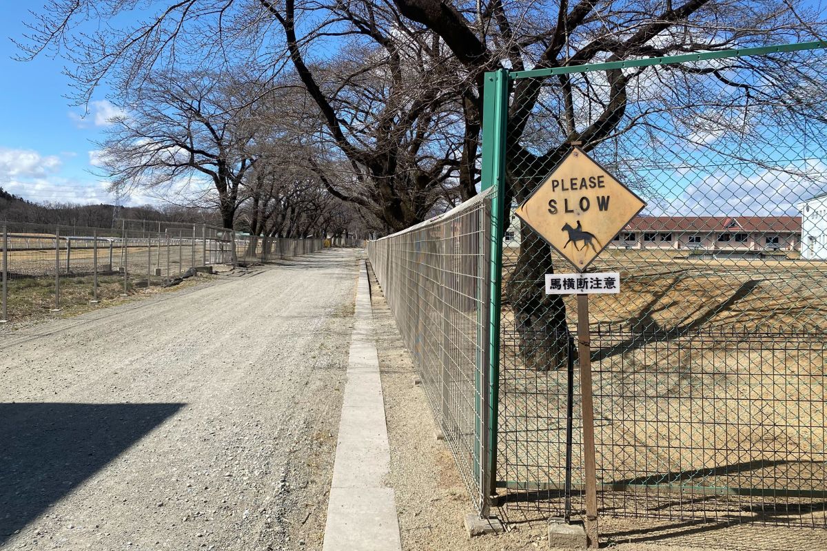 地方競馬教養センターに隣接する道