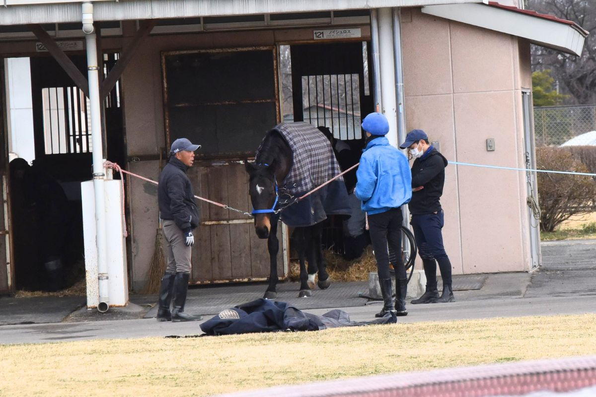 騎手候補生への指導が行われる