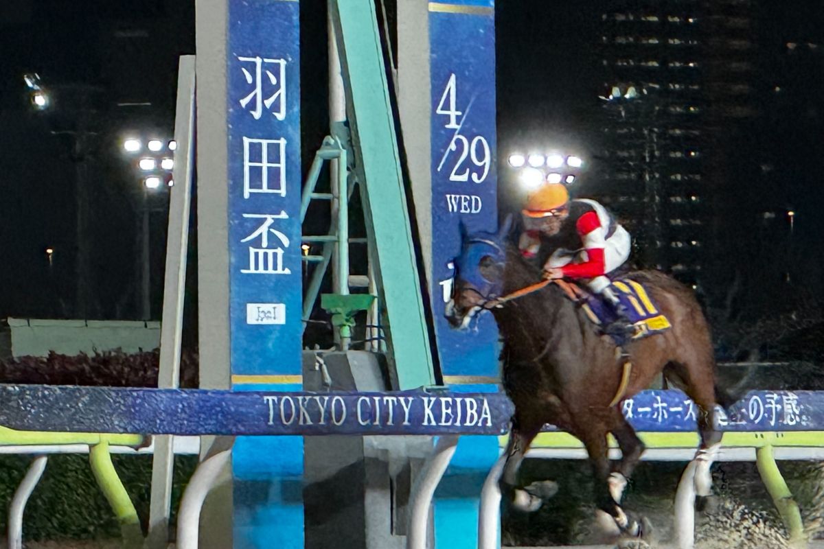 2026年羽田盃を制した時のフィンガー