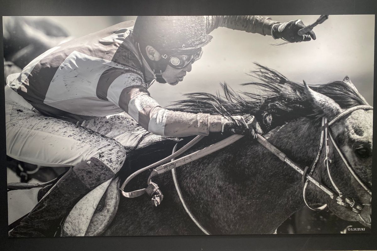 武豊デビュー40年～前人未到の記録～のパネル