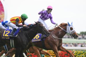 【紫苑ステークス2026・能力分析】実績・適性・騎手を10段階比較！ 総合でトップ評価は？