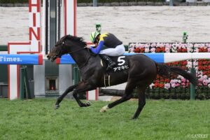 【目黒記念・前走レビュー】有力5頭を採点！前走内容を最も評価するべき馬は？