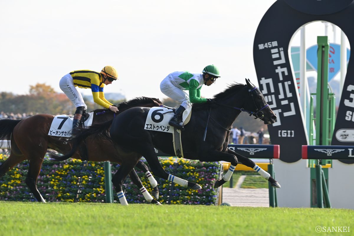 2025年11月8日(東京)2勝クラス・1着エストゥペンダ
