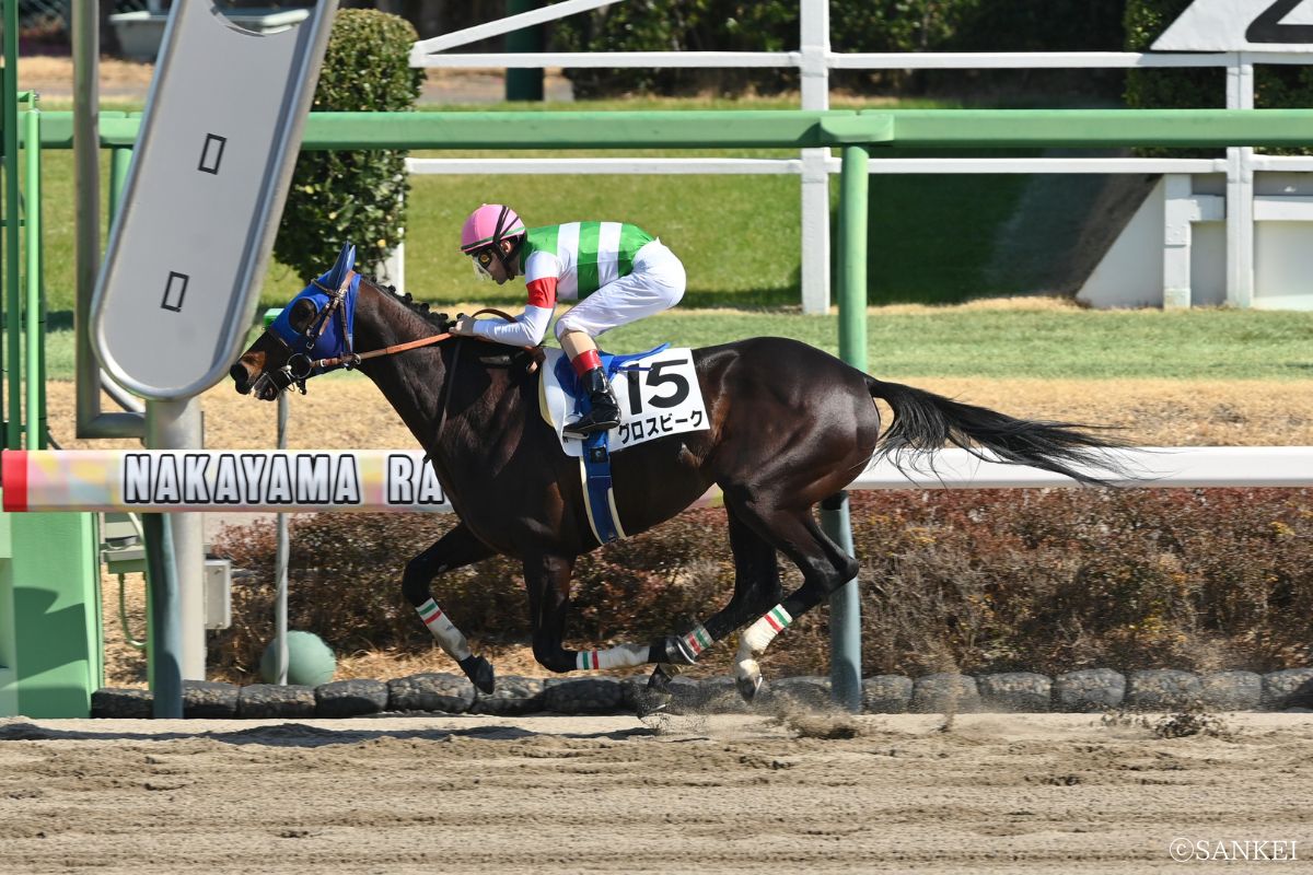 2026年2月28日（中山）1勝クラス・1着グロスビーク