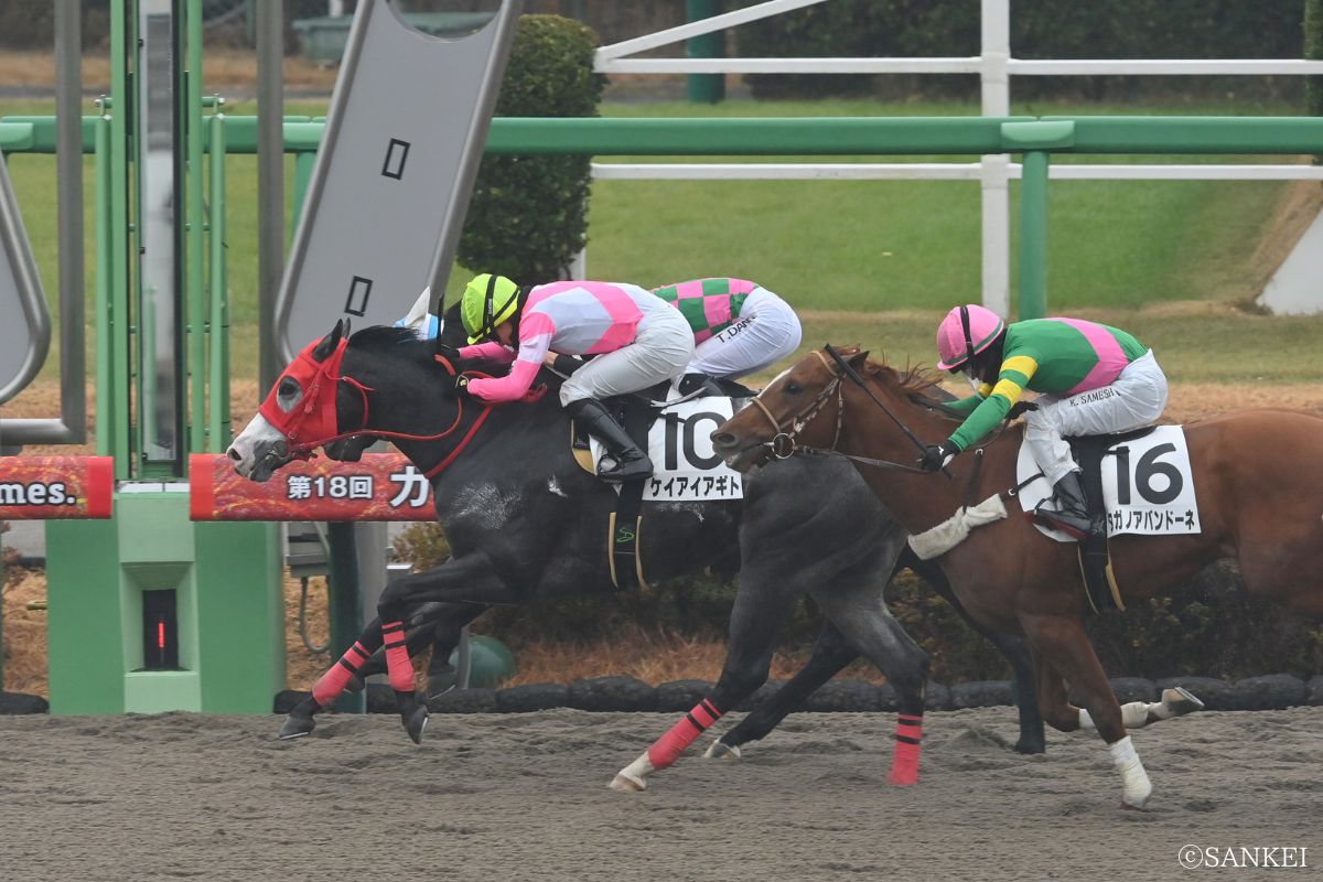 2025年12月14日2歳1勝クラス（中山）/1着ケイアイアギト