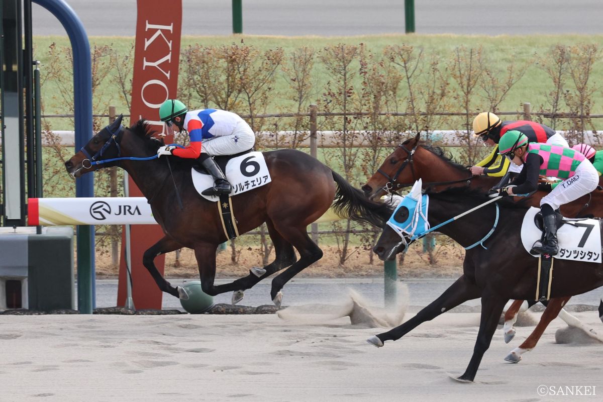 2026年1月31日（京都）3歳1勝クラス/1着ソルチェリア