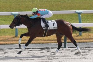 【最終レース取り返し隊・6月7日】ラストに狙いたいレースを徹底分析！安田記念の後はどこを買うべき？