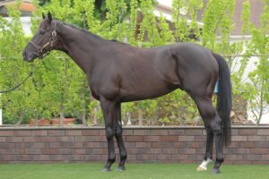 【宝塚記念・馬体診断】有力馬5頭を徹底比較！前走以上の仕上がりで“100点満点”を得たのは？