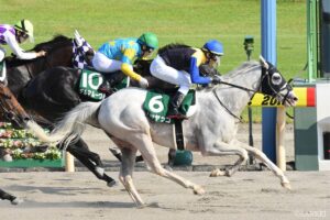 【レパードステークス】過去10年データで判明！新潟ダート1800mで狙うべき血統・騎手・厩舎とは？