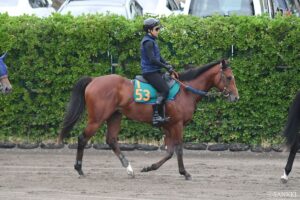 【POG 2026-2027】今週デビューする注目の2歳馬5選。2億円超も…高額落札馬が続々と初陣