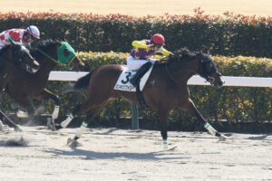 【最終レース取り返し隊・6月14日】12レースの狙いどころを徹底分析！宝塚記念の後はどこを買うべき？