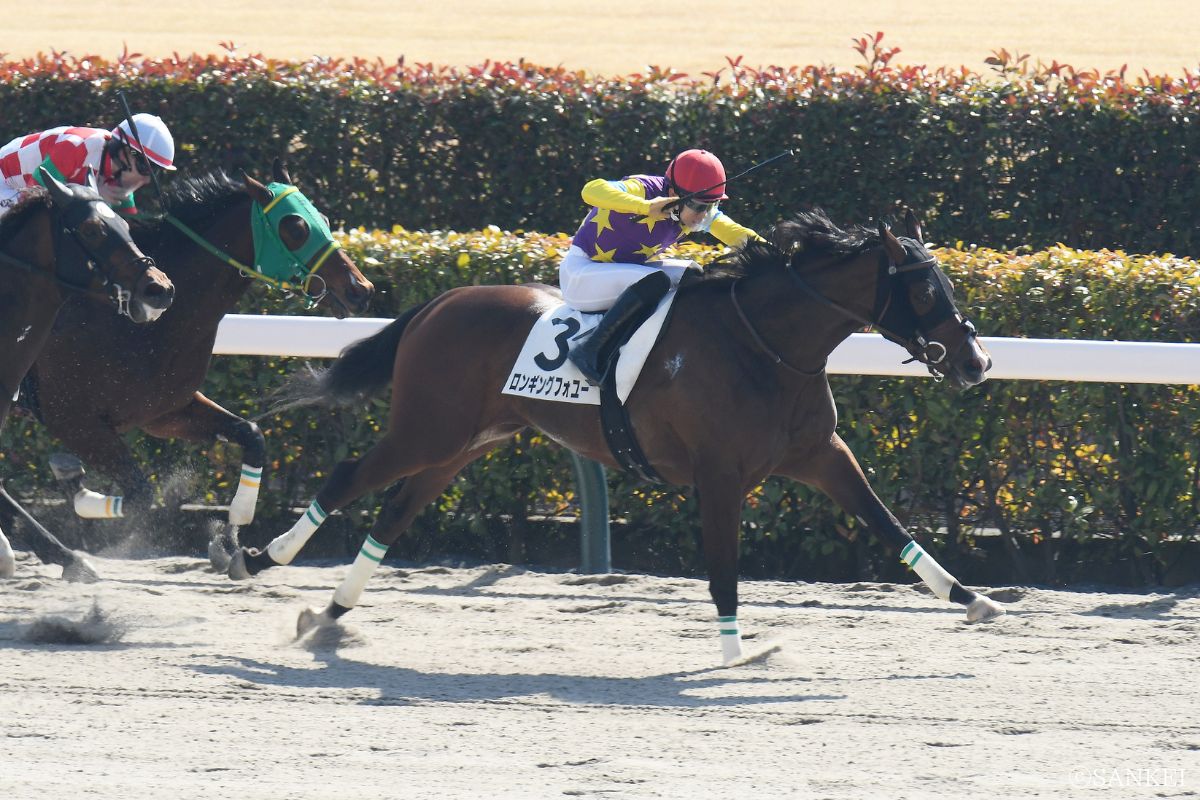 2026年2月15日(東京)3歳1勝クラス・1着ロンギングフォユー
