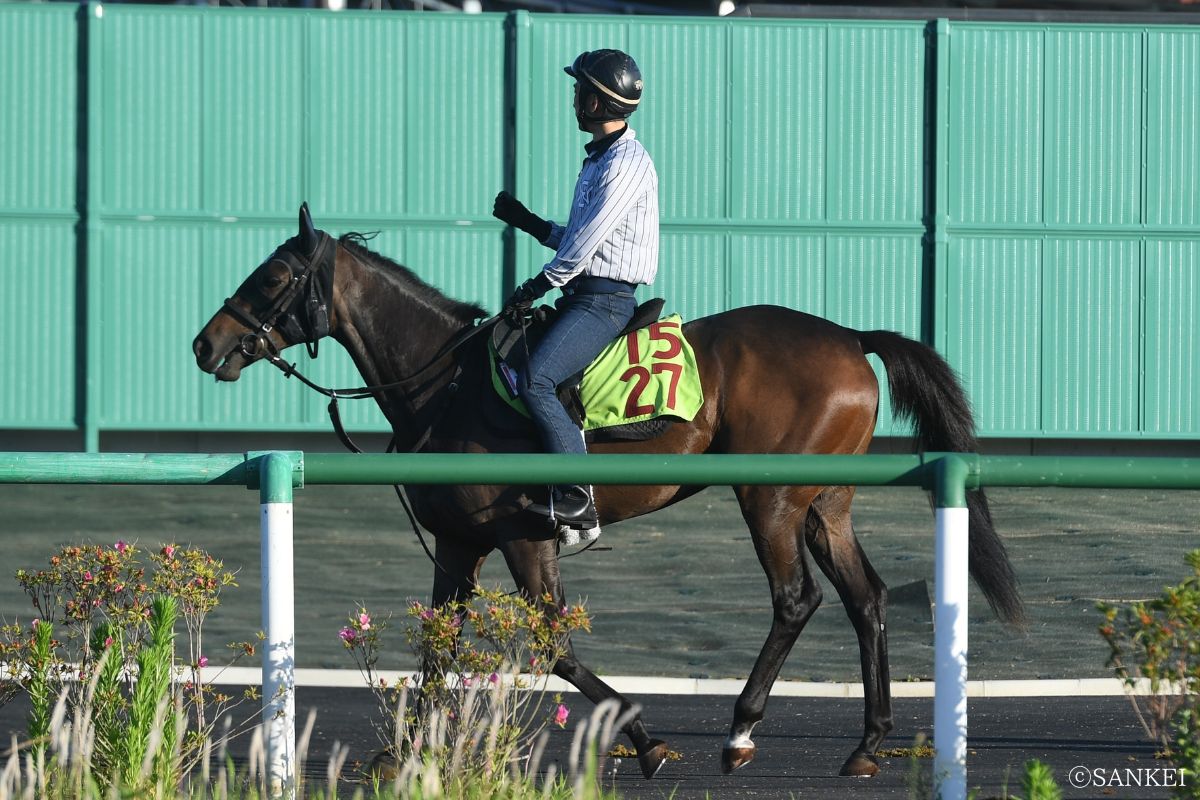 ソプラノクイーン（美浦トレセン・2026年5月28日）ⓒSANKEI