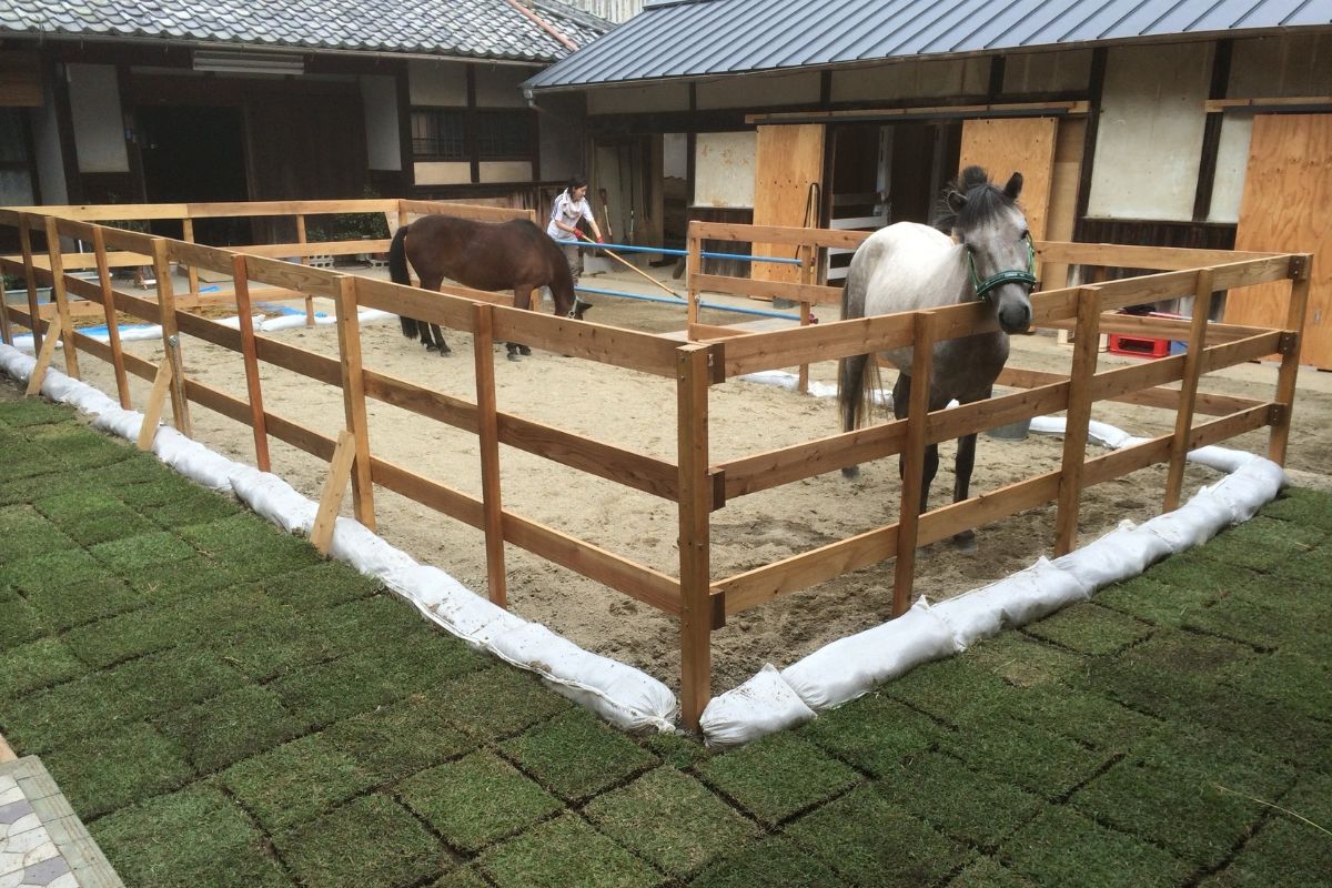 古民家の中庭で、ポニー2頭とスタートしたホースセラピー活動。