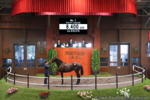セレクトセール2026開幕！ 記念すべき1頭目は8400万円（税抜き）、2頭目では早くも億超え