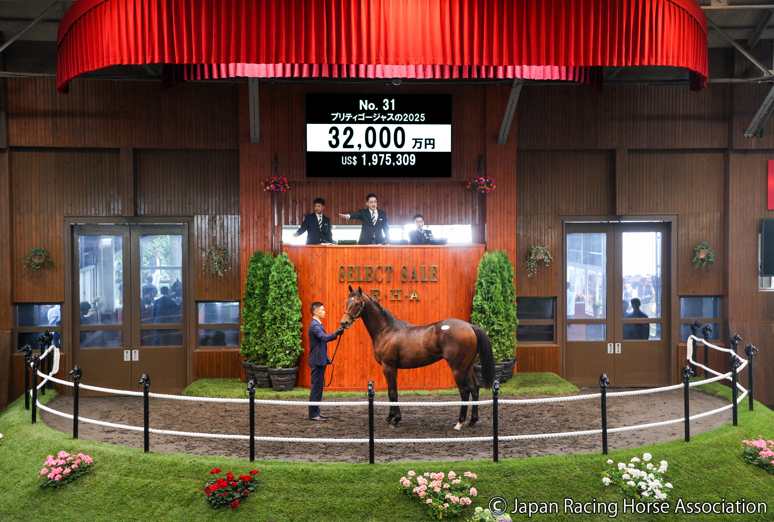 プリティゴージャスの2025(セレクトセール2026)©Japan Racing Horse Association