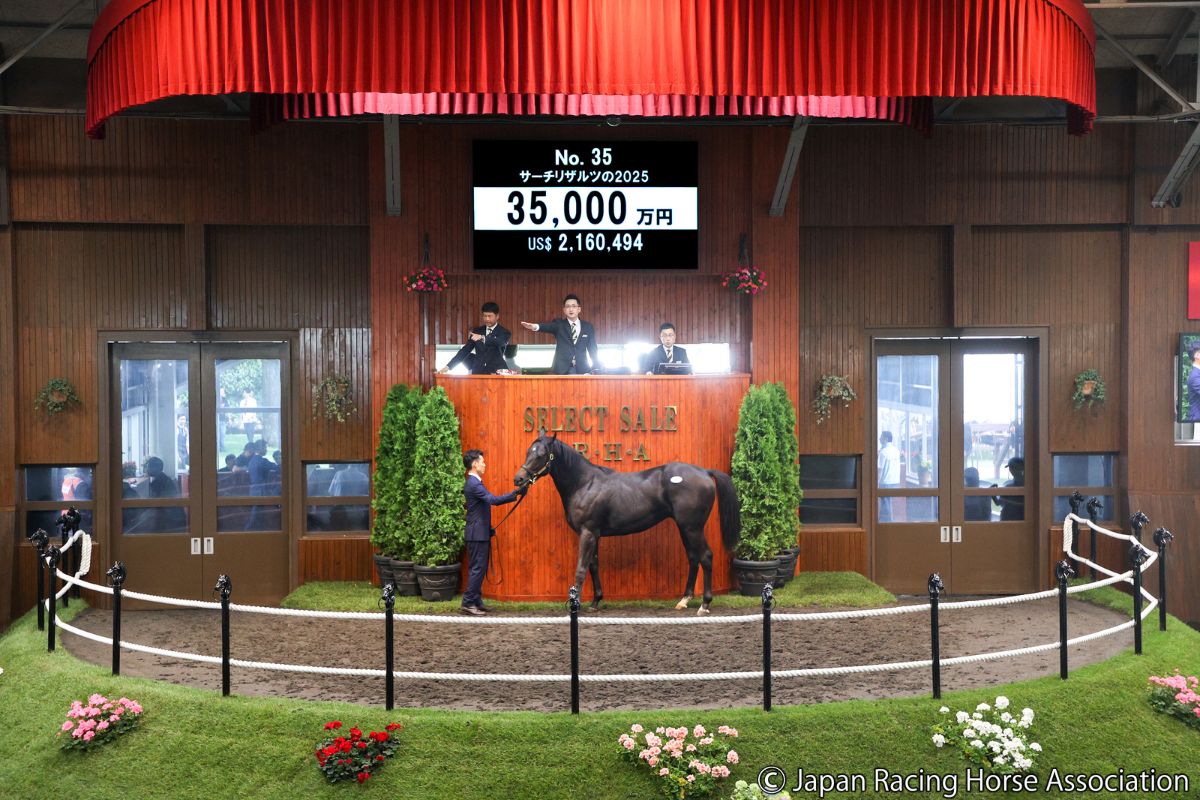 サーチリザルツの2025©Japan Racing Horse Association