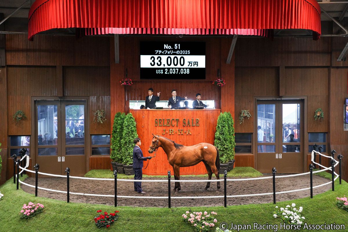 プティフォリーの2025©Japan Racing Horse Association