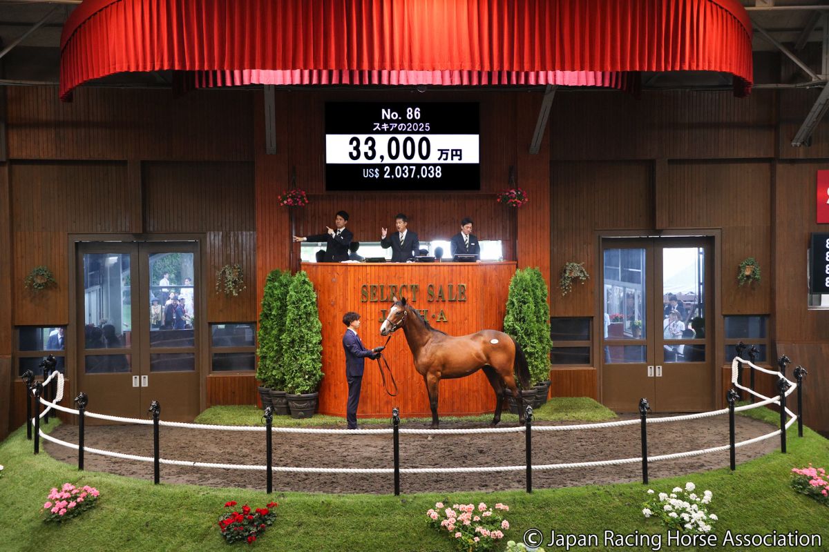 スキアの2025©Japan Racing Horse Association
