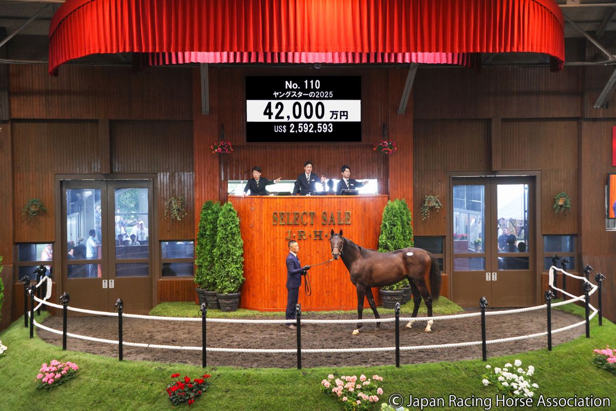 ヤングスターの2025©Japan Racing Horse Association