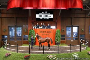 【セレクトセール2026】最高額は4億2000万円！ 1歳市場で3億円超えとなった超良血7頭を紹介
