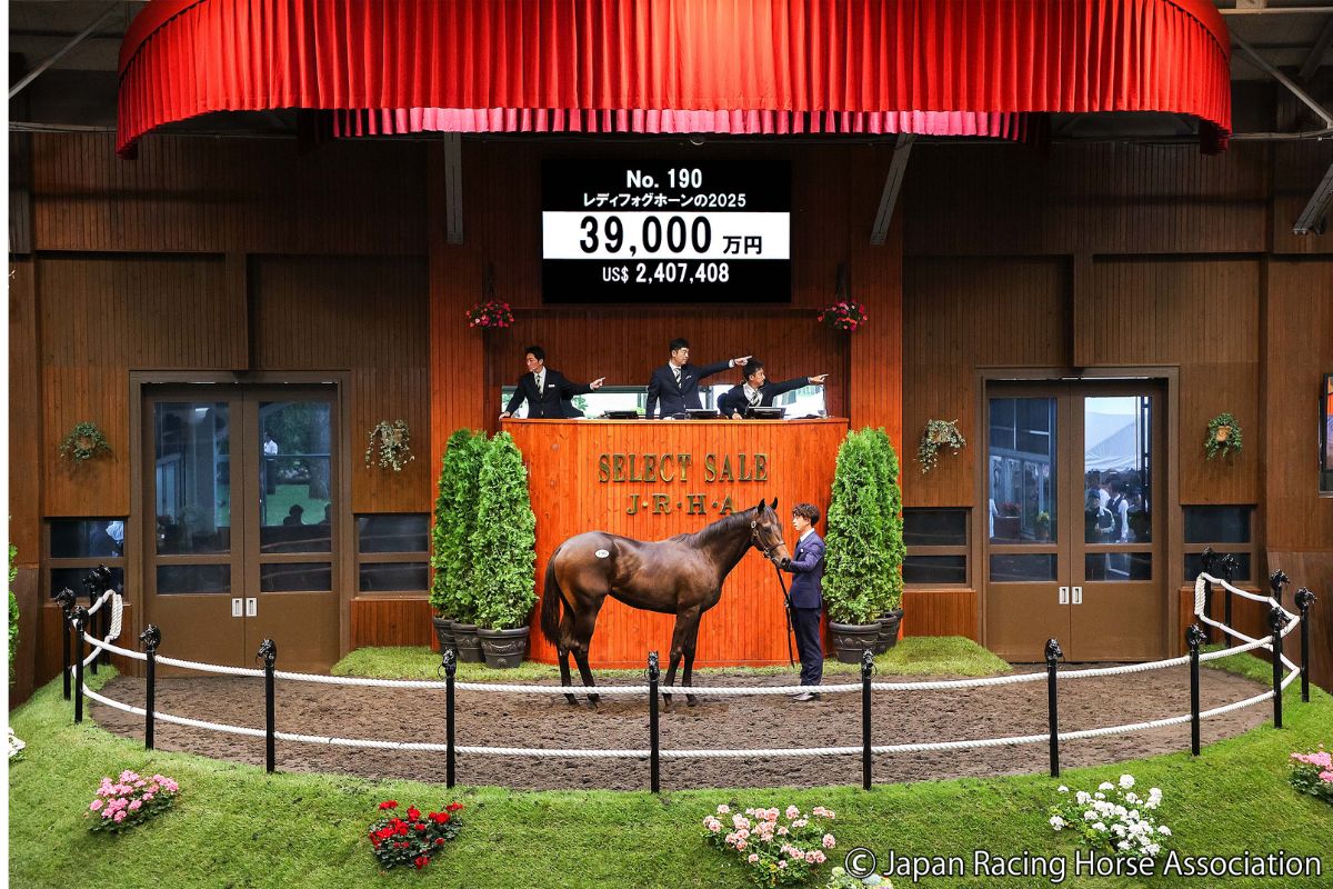 レディフォグホーンの2025©Japan Racing Horse Association
