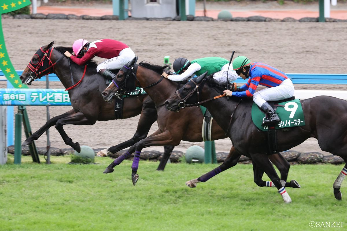 2026年北九州記念を制した時のフリッカージャブ