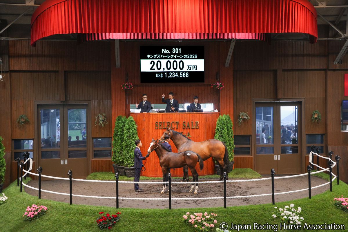 キングズハーレクイーンの2026©Japan Racing Horse Association