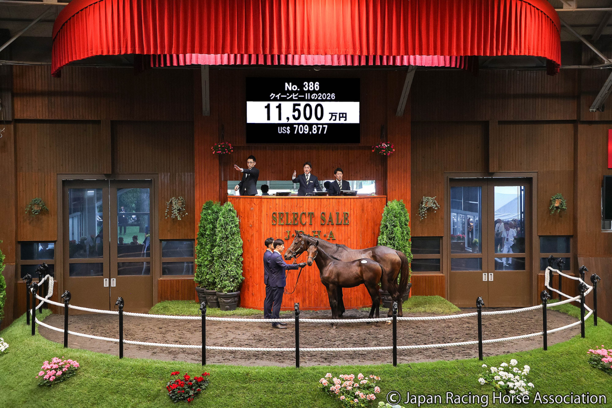 クイーンビーⅡの2026 ©Japan Racing Horse Association
