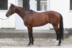 【七夕賞・馬体診断】有力馬3頭を徹底比較！ 唯一の100点評価となったのは？