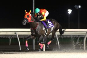 【トリプル馬単ゼミ・門別7月29日（水）】3レース目は1点勝負！ベルピットだけは外せない