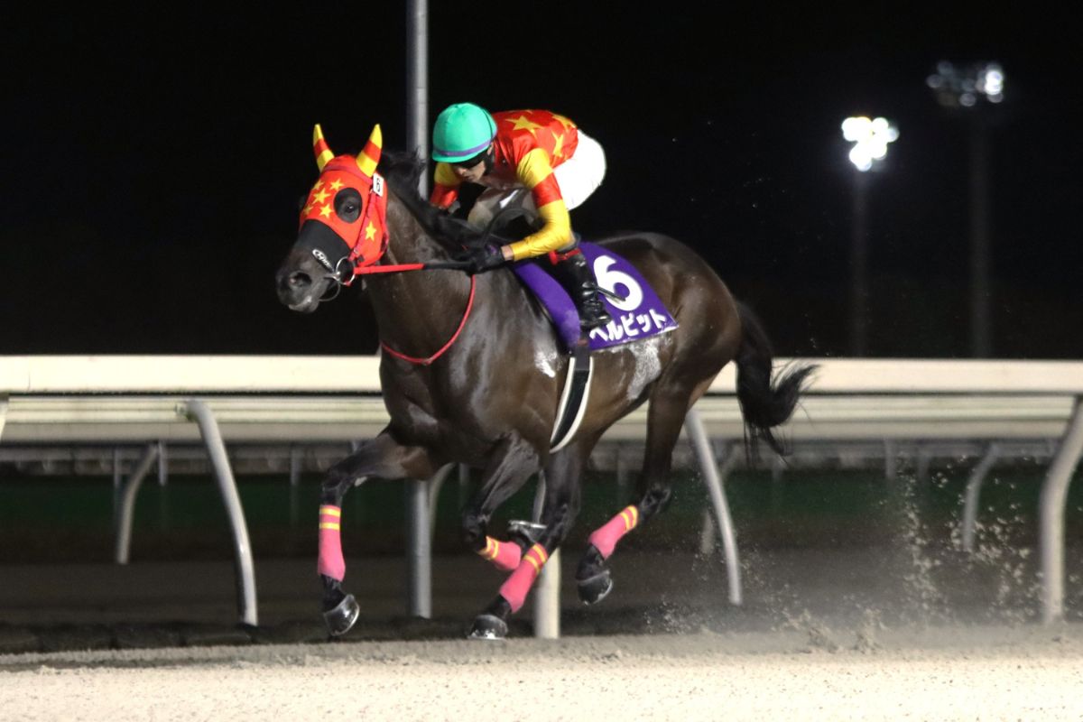 第58回瑞穂賞を制したベルピット