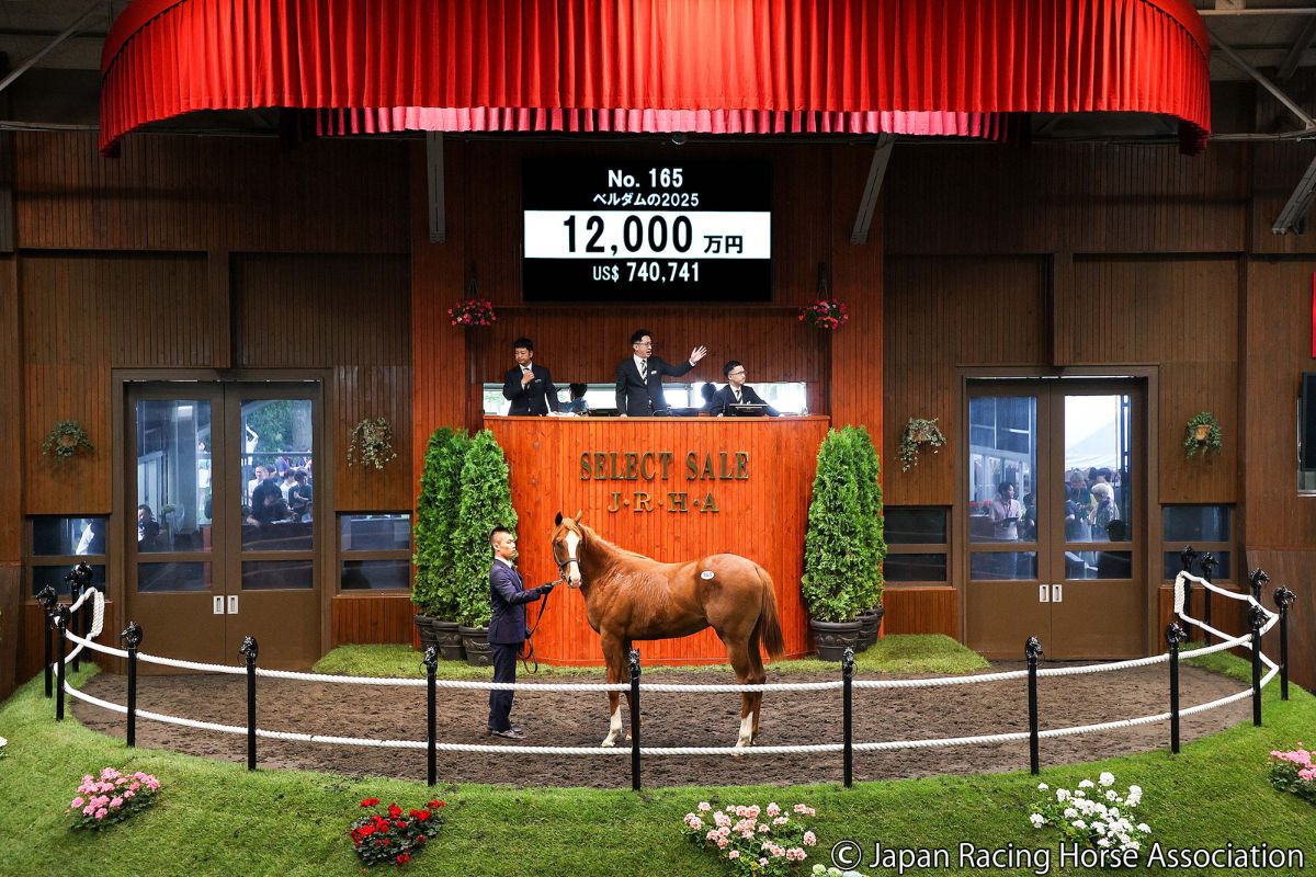 ベルダムの2025©Japan Racing Horse Association
