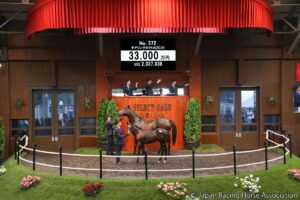【セレクトセール2026・現地レポ】三冠牝馬×世界最強馬の“夢の配合”も！会場騒然の当歳馬部門を取材