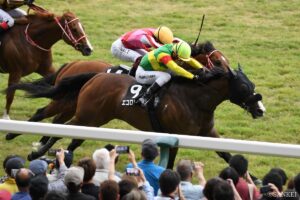 【アイビスサマーダッシュ2026】ベストローテはどのレース？過去10年好走馬の前走データを徹底分析