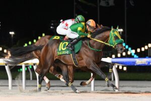 現役馬で最も稼いでいるのは？獲得賞金ランキング【第4位】悲願の中央G1制覇へ…キタサンブラック産駒のダート王