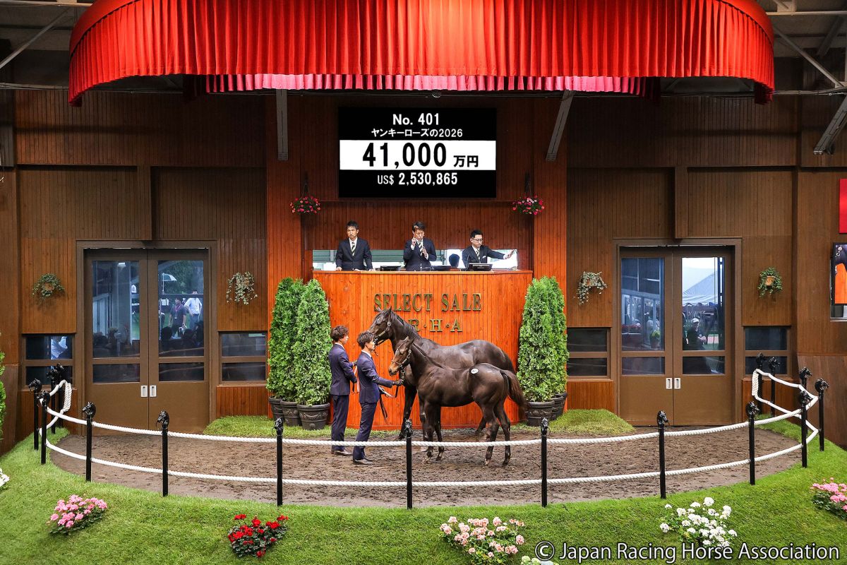 ヤンキーローズの2026©Japan Racing Horse Association