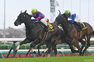 【北九州記念2026】追い切り評価一覧を公開！ “動き抜群”で最高評価を獲得したのは？
