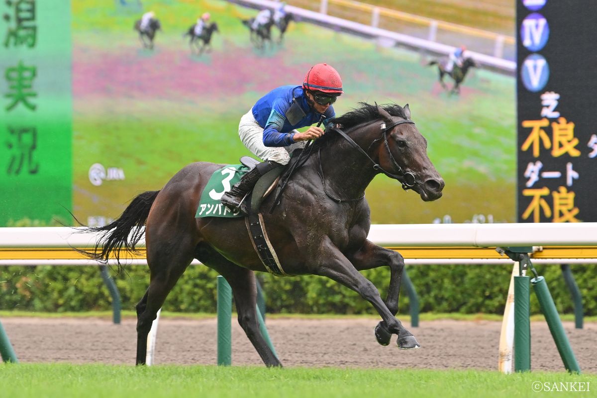 2026年関屋記念を制した時のアンパドゥ