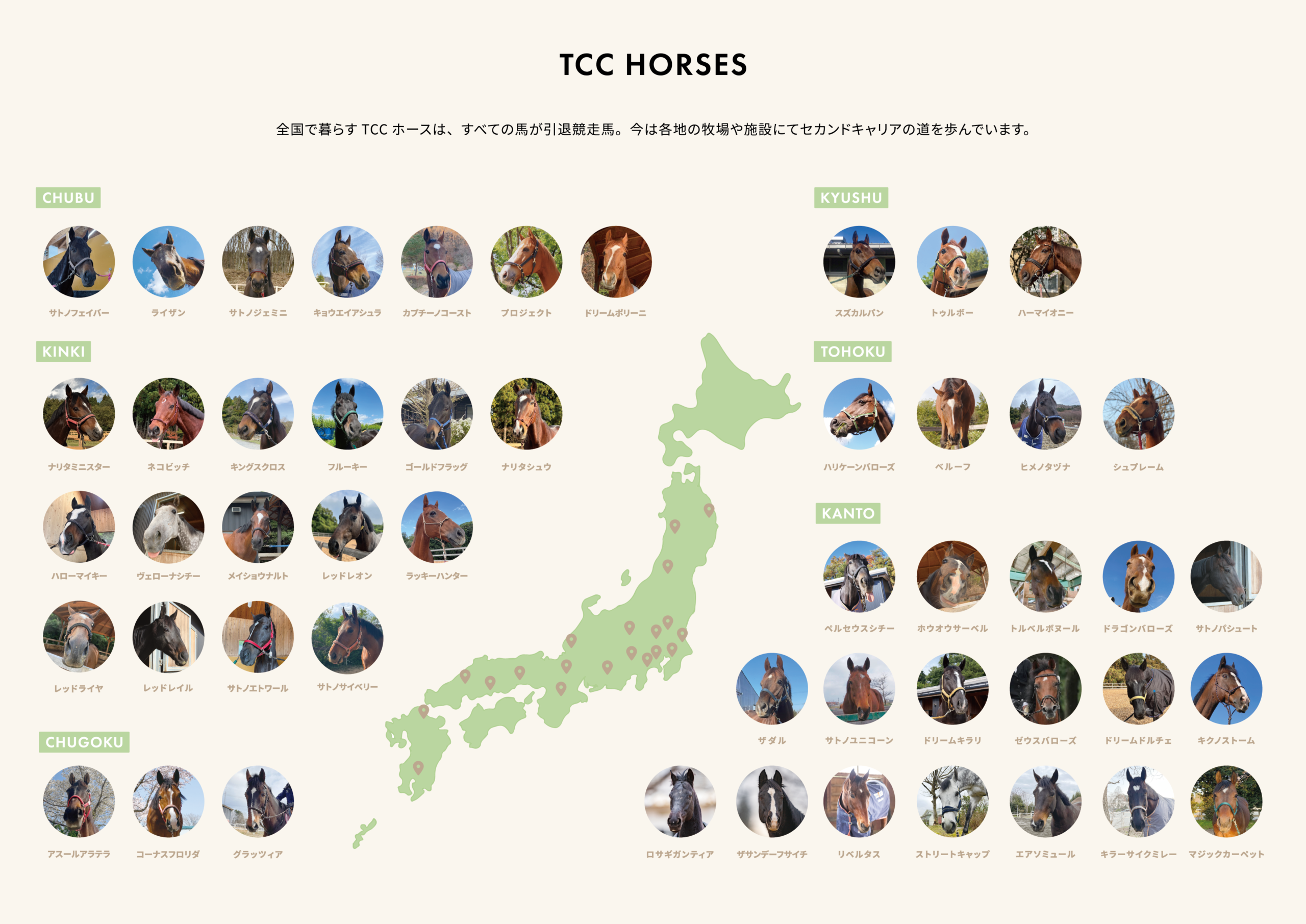 全国で暮らすTCCホースたち