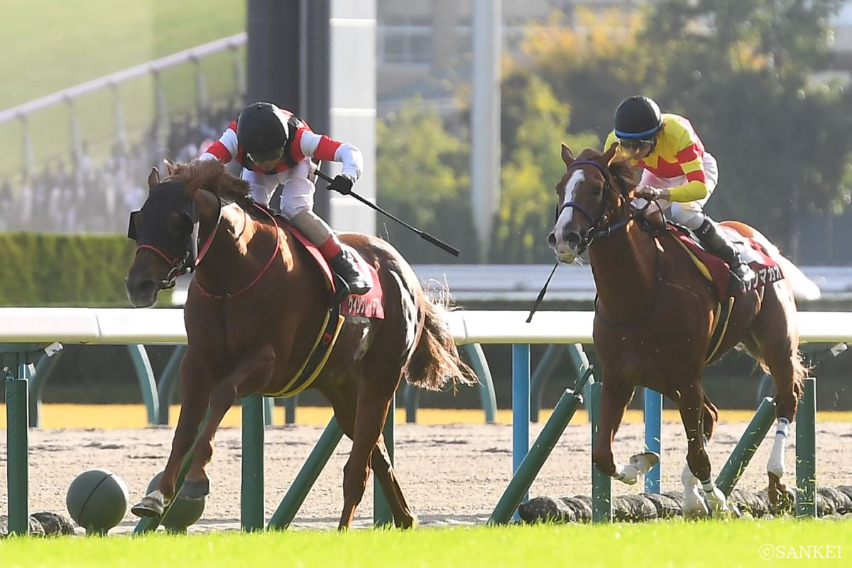 第66回スワンSを制したウイングレイテスト(写真左)