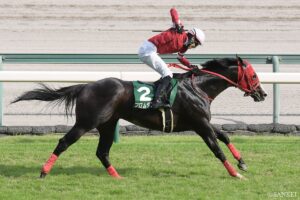 【CBC賞・敗戦の本質】1番人気ディアナザールは、なぜ敗れたのか…注目3頭を徹底考察