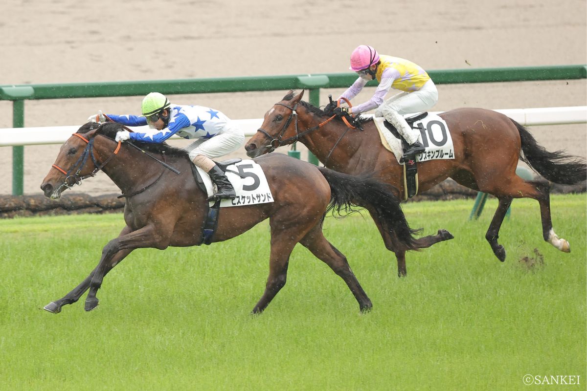 2026年6月7日2歳新馬(阪神)・1着ビスケットサンド、2着シスキンブルーム
