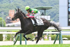 【中京2歳ステークス2026・能力分析】実績・適性・騎手を10段階比較！ 総合でトップ評価は？